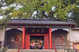山东费县丛柏庵