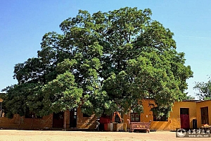 河北邢台南宫市普明寺